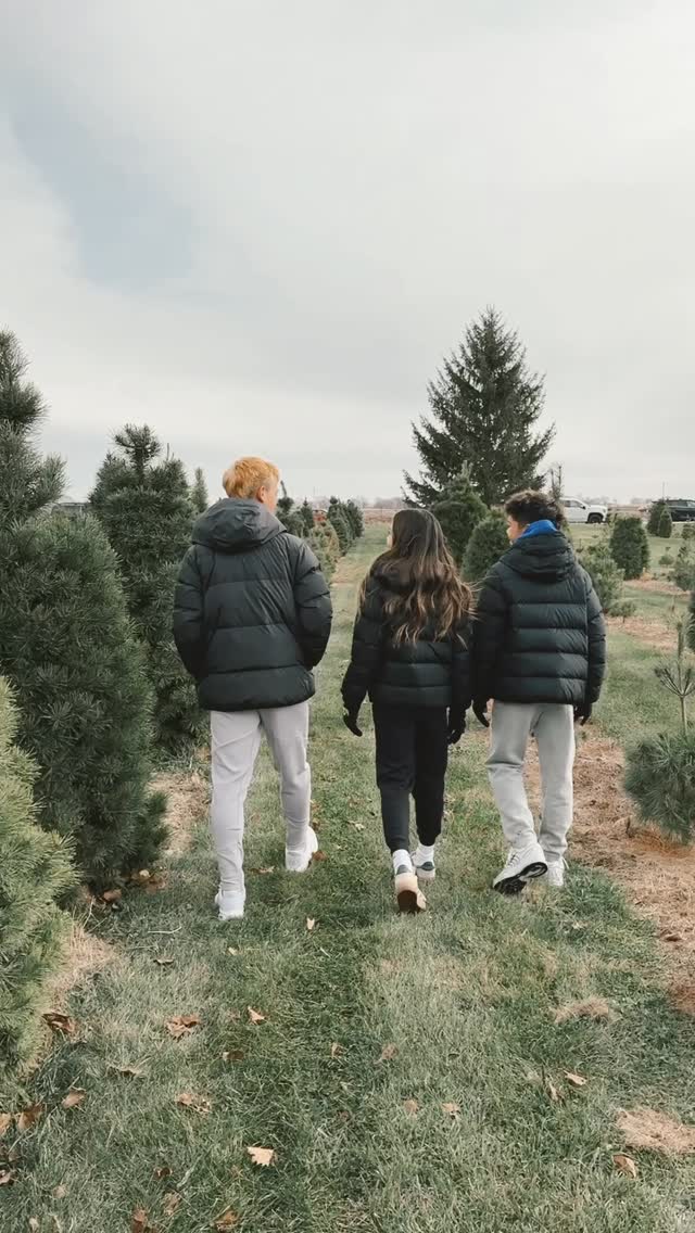Our Christmas tree of memories is up! Missing Dylan at this year’s family tradition. I know eventually it’ll just be Blaine and I so I’m cherishing every moment. ✨